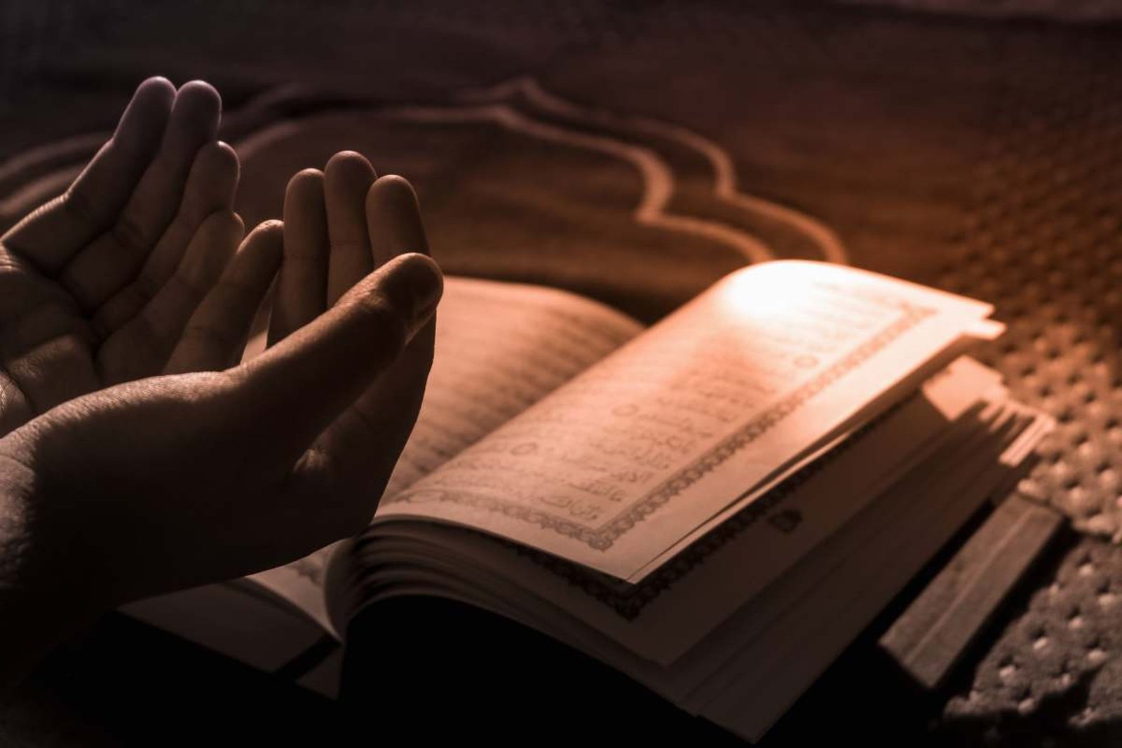 Holy Qur'an Courses
